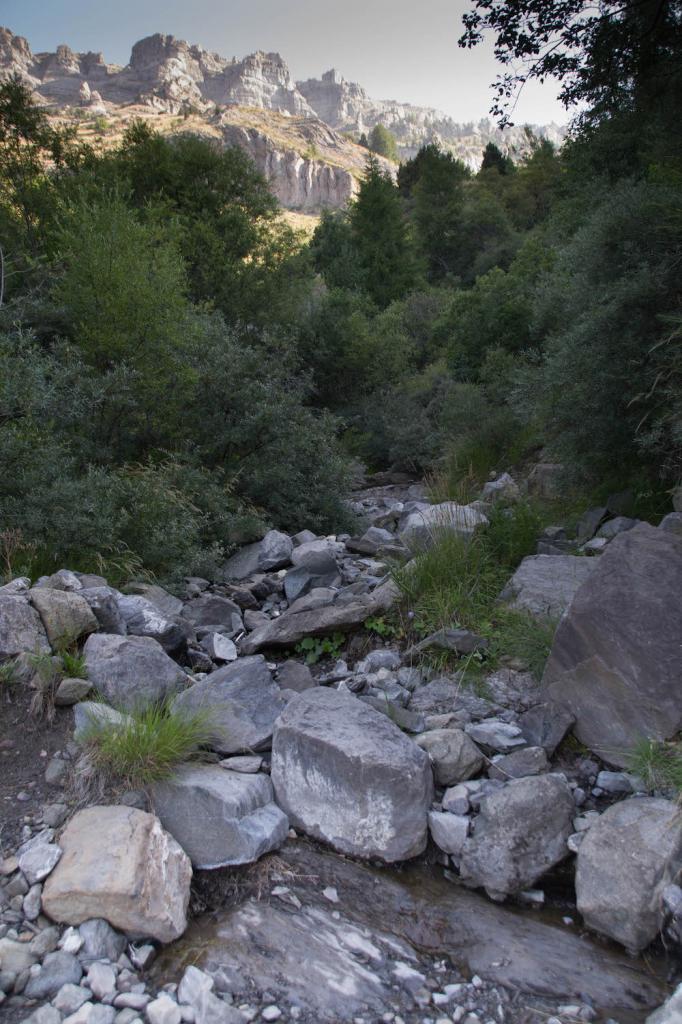 Torrent sur le tracé du sentier