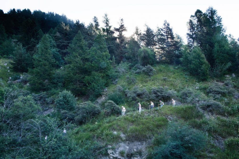 Randonneurs sur le sentier