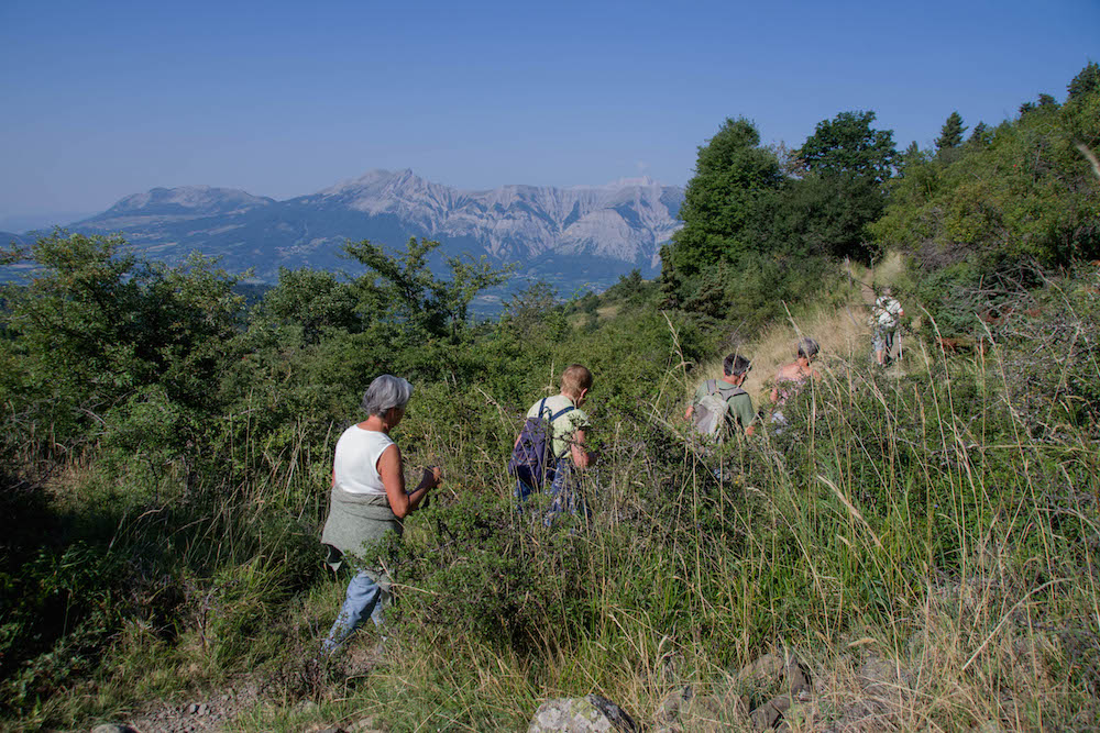 Vue sur les montagnes