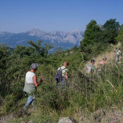 Vue sur les montagnes