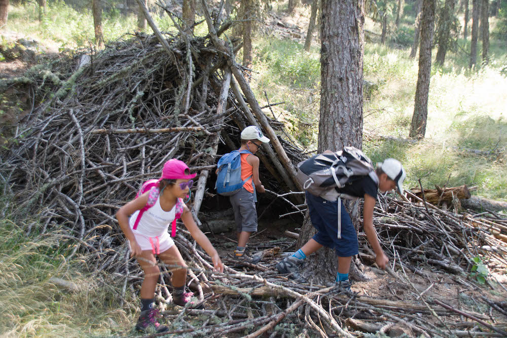 Cabane dans les bois