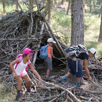 Cabane dans les bois