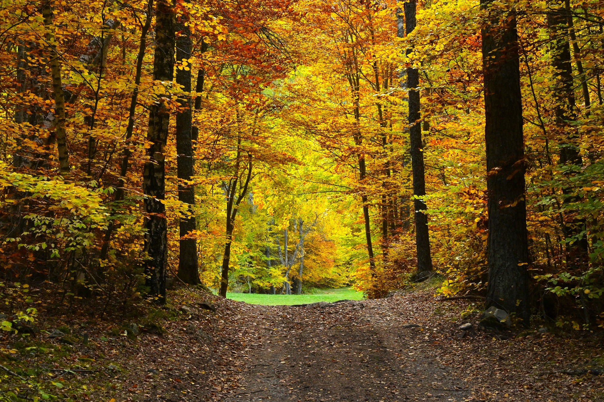 Sur le sentier vers le village de Méollion