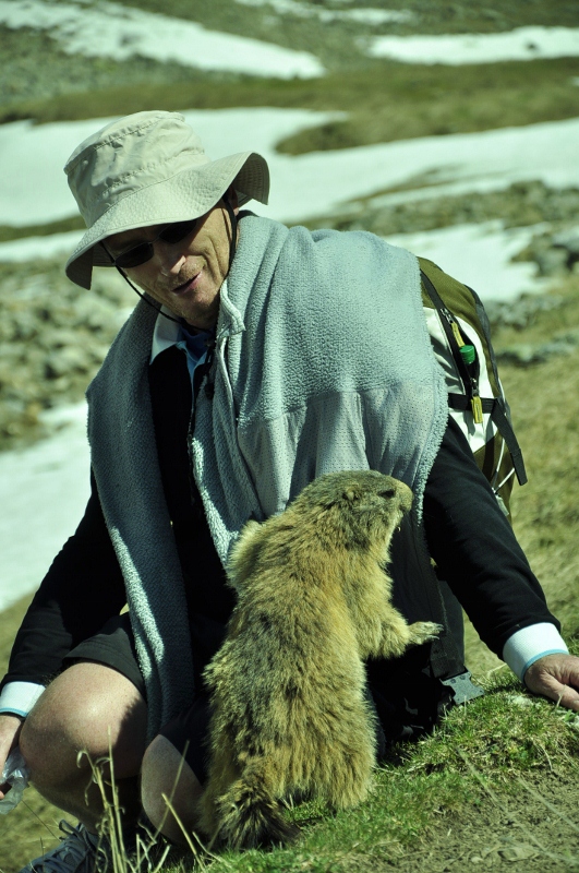 marmotte au saut de Layre