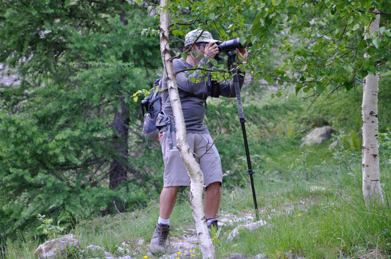 photographe à l'affût