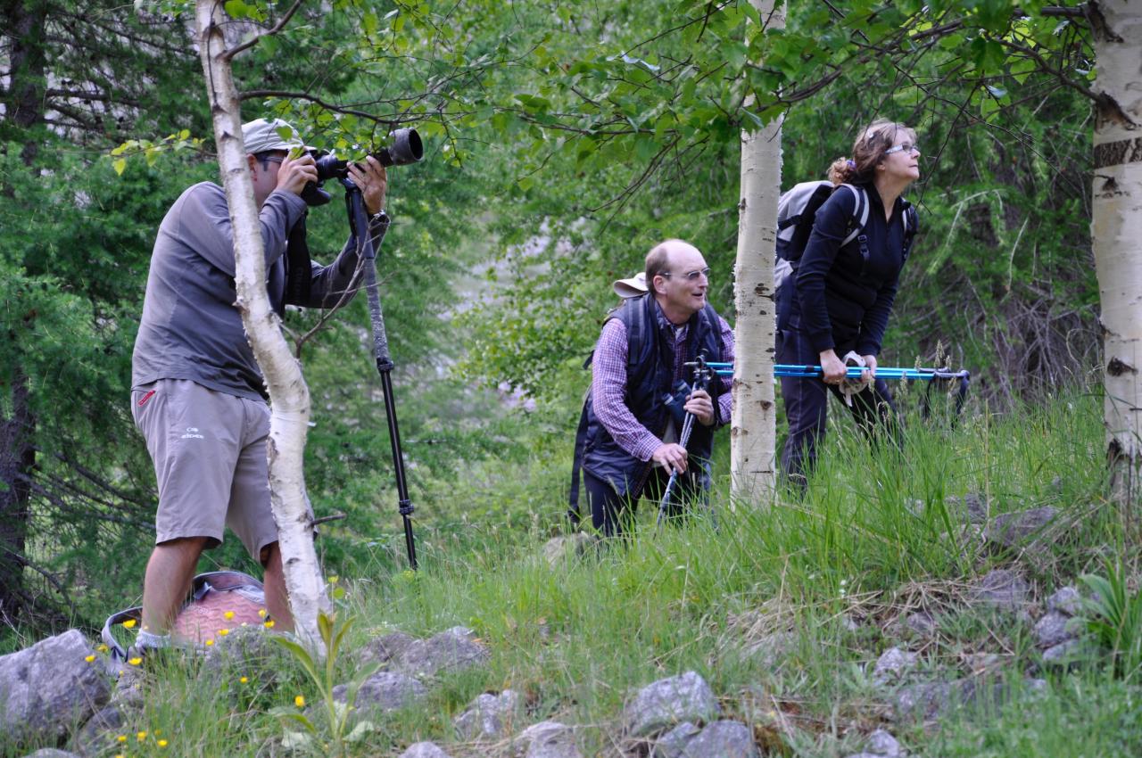 Chamois au rendez-vous