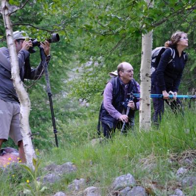 Chamois au rendez-vous