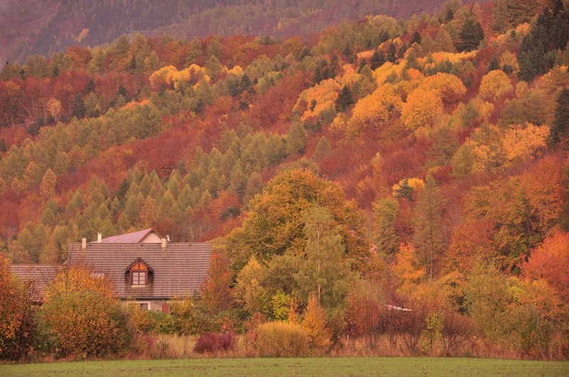 Le chalet après orage automne