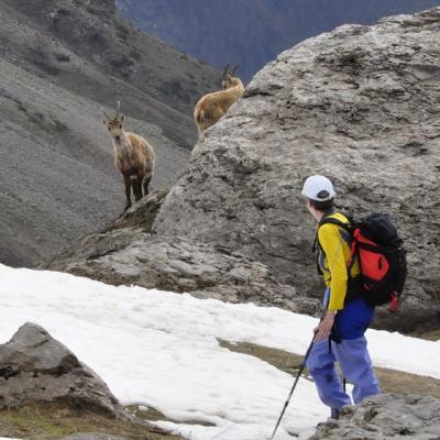 Qui est le plus curieux ?