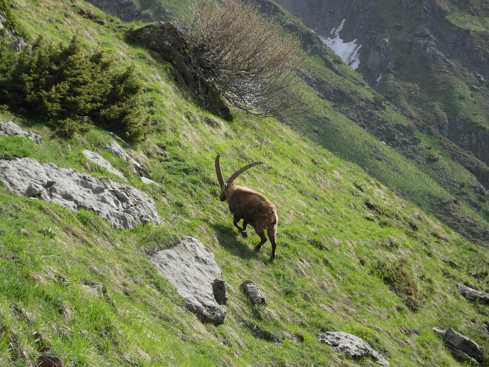 A deux pas du sentier