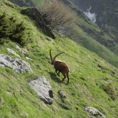 A deux pas du sentier