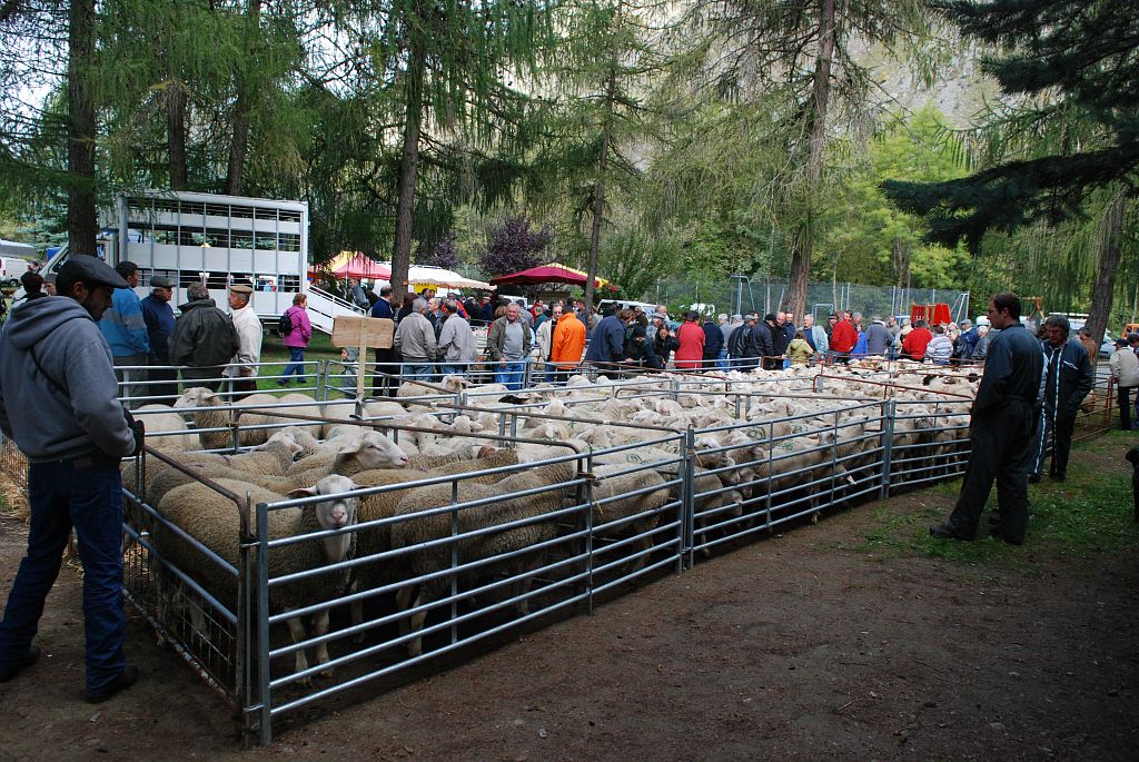 Foire du Valgaudemar