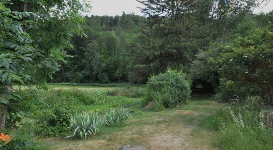 vue sur la forêt