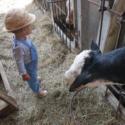 Visite de ferme pour les enfants