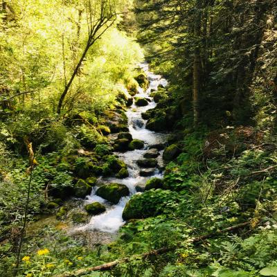 Torrent dans le Valgaudemar