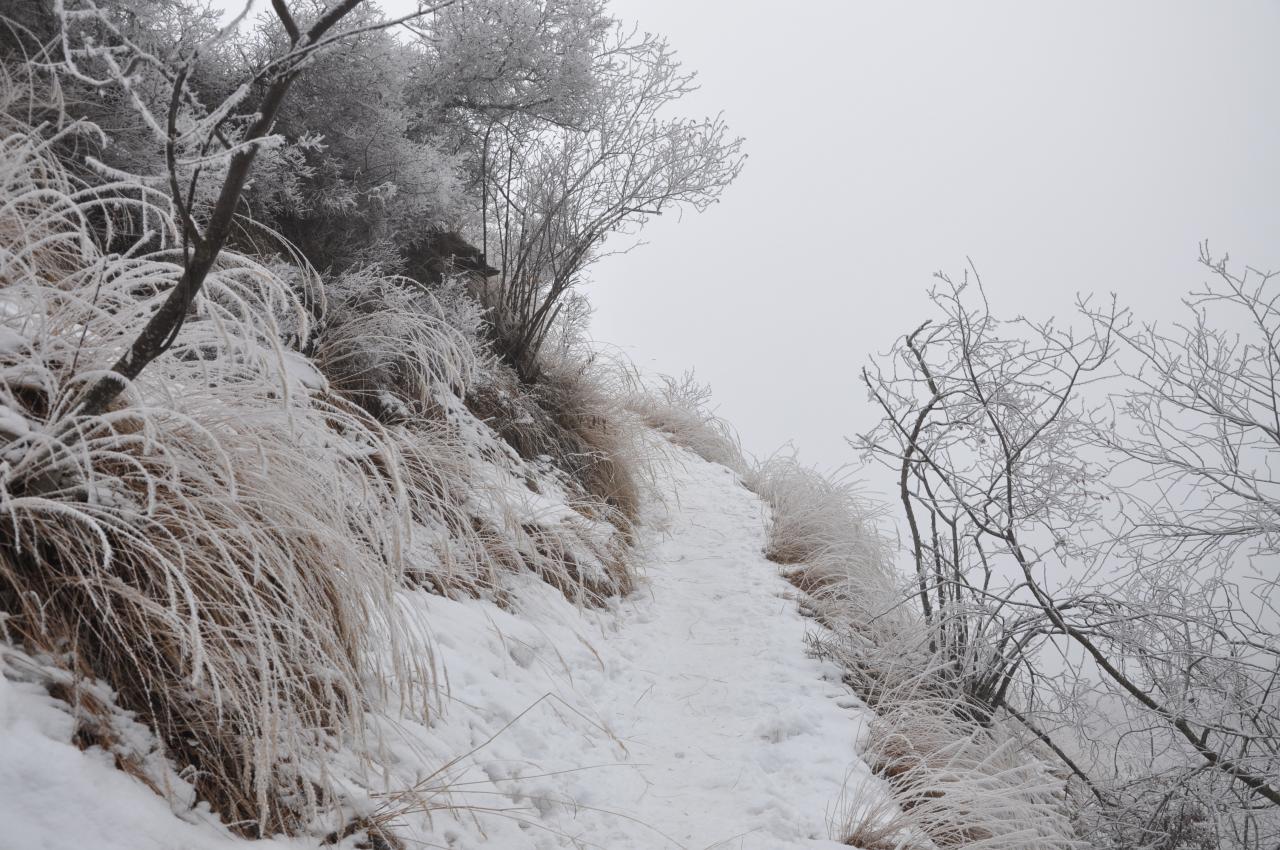 Sentier du canal en hiver