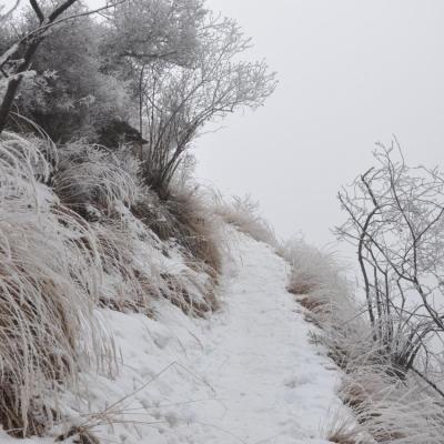 Sentier du canal en hiver