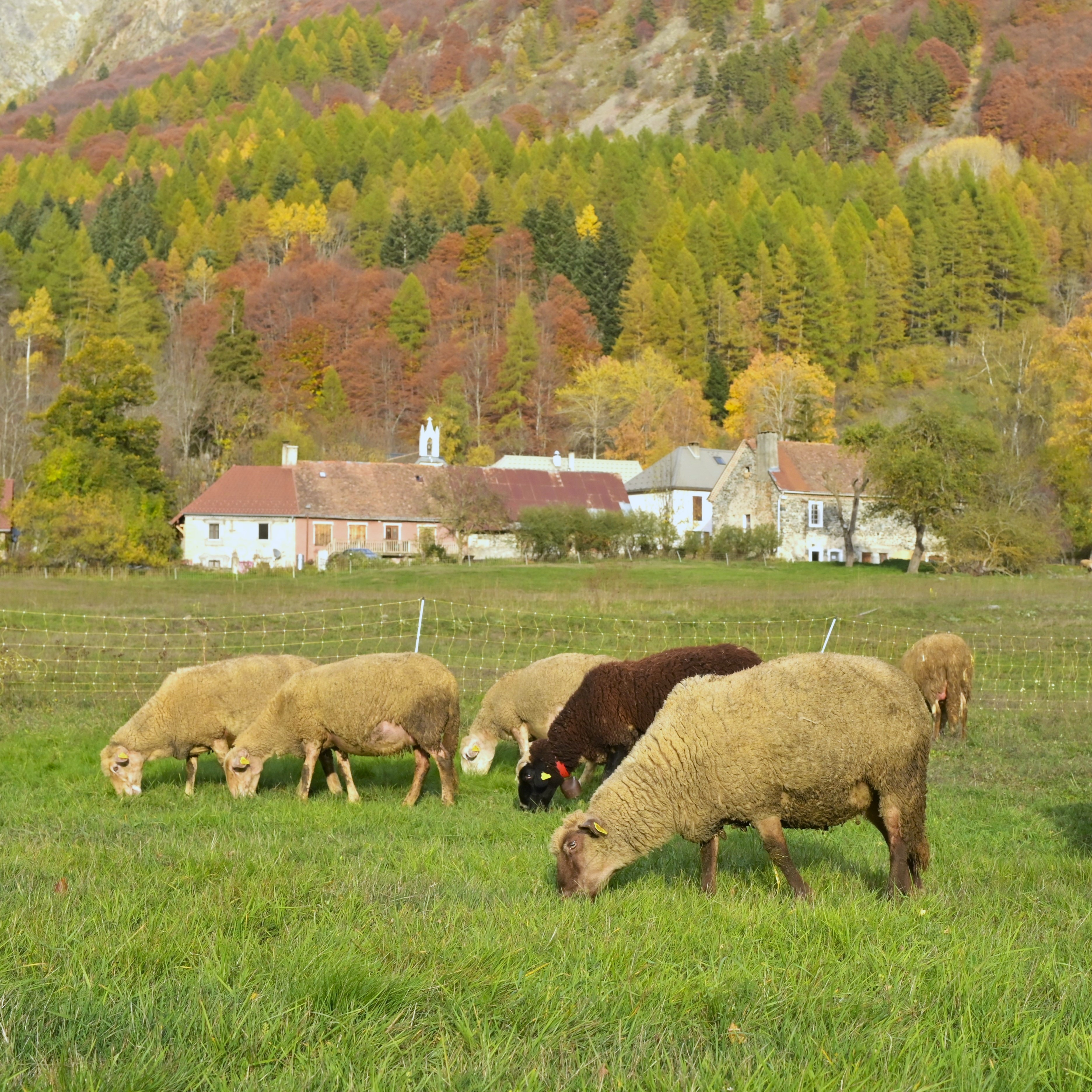 Village de Molines en Champsaur