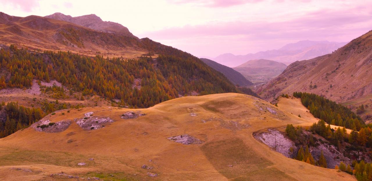 Plateau dans la vallée de Rouanne