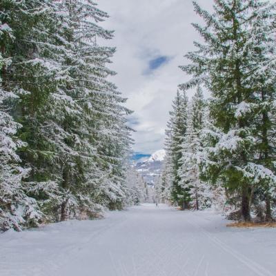 ski de fond Orcières