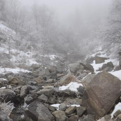 Torrent sous le brouillard matinal