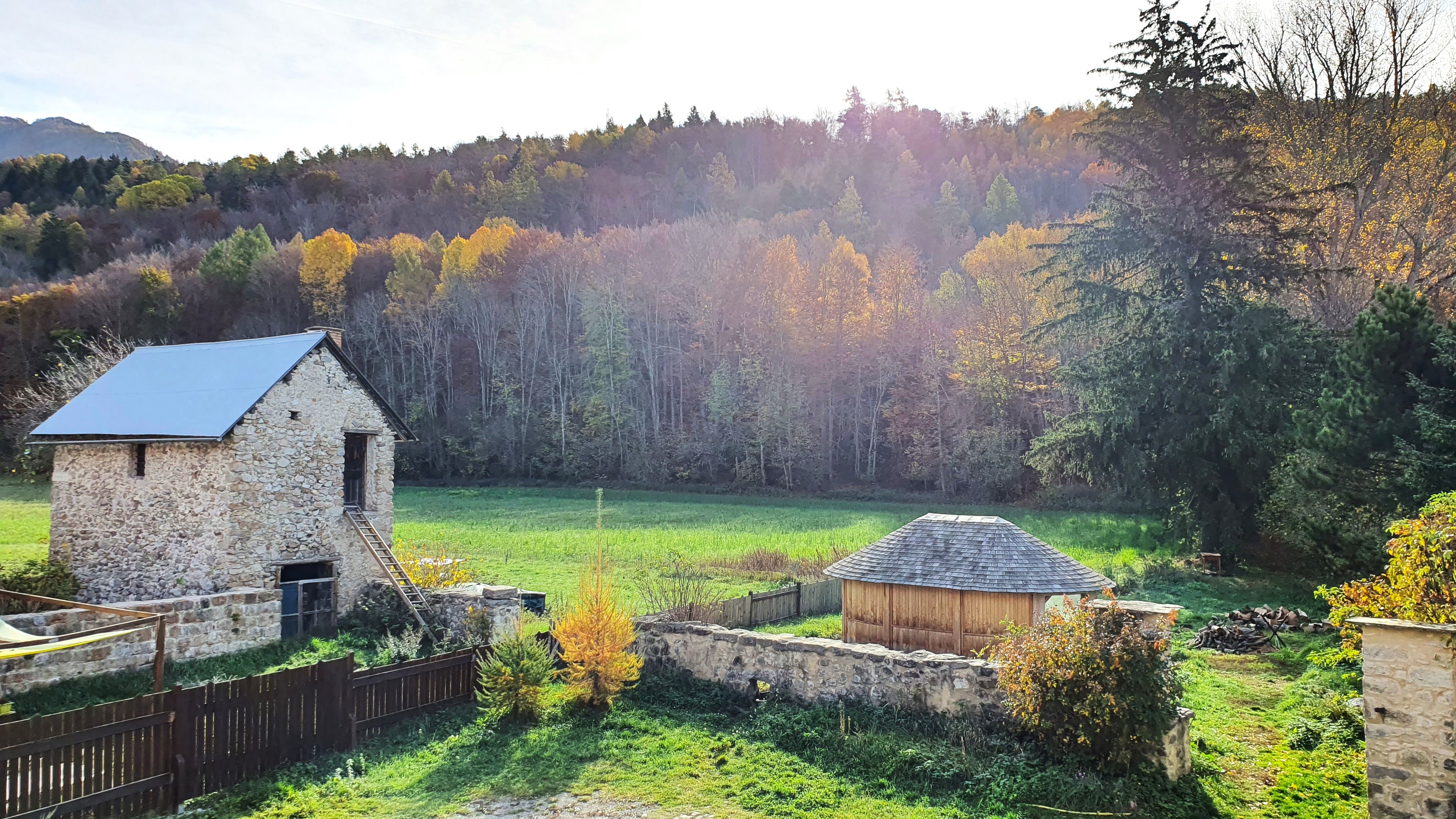 Vue sur la forêt 