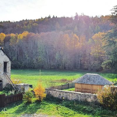 Vue sur la forêt 