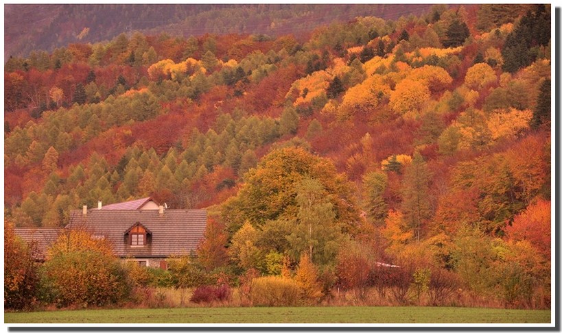 apres-un-orage-d-automne-1.jpg