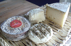 fromages-de-chevre-fermiers.png
