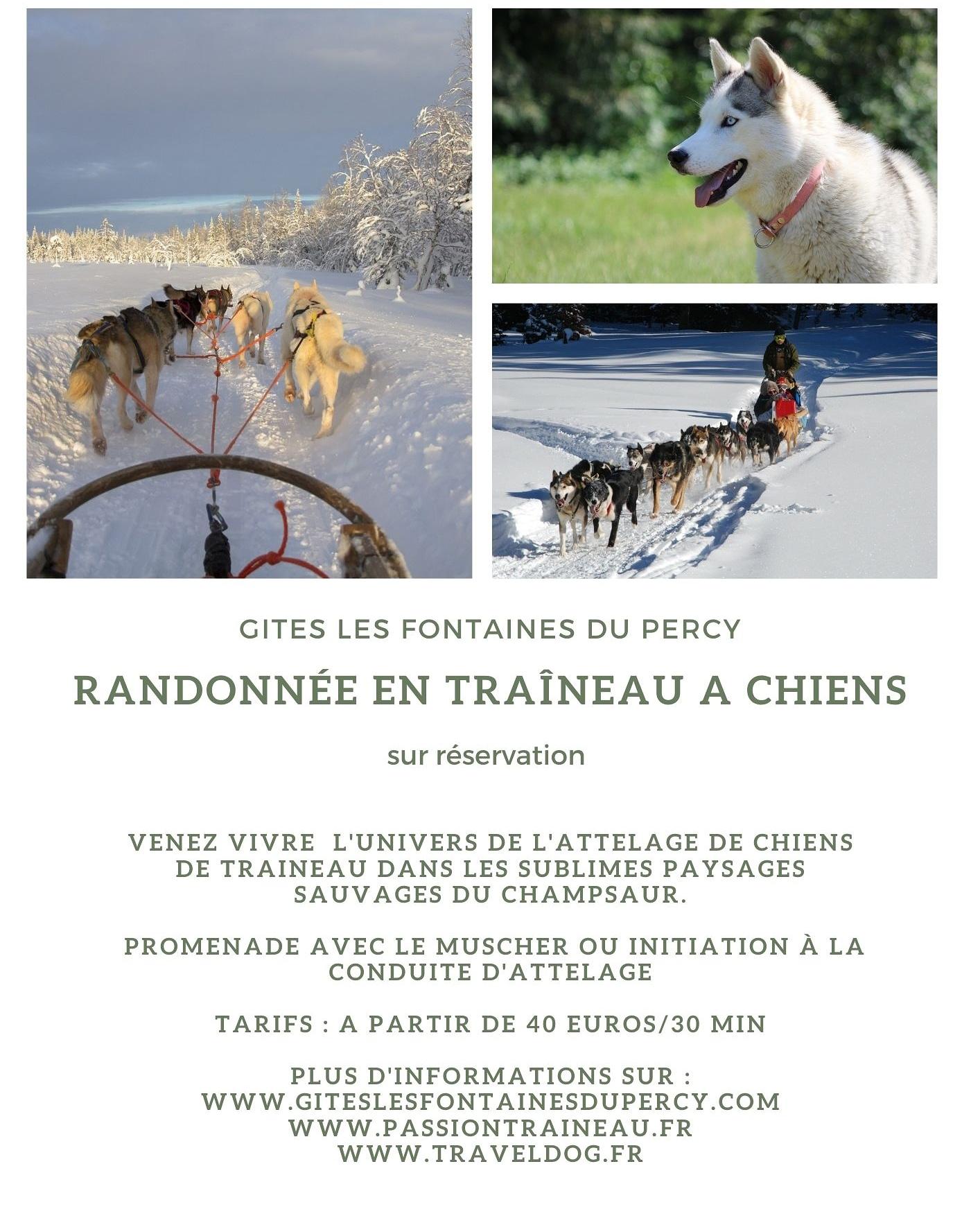 Traîneau à  chiens