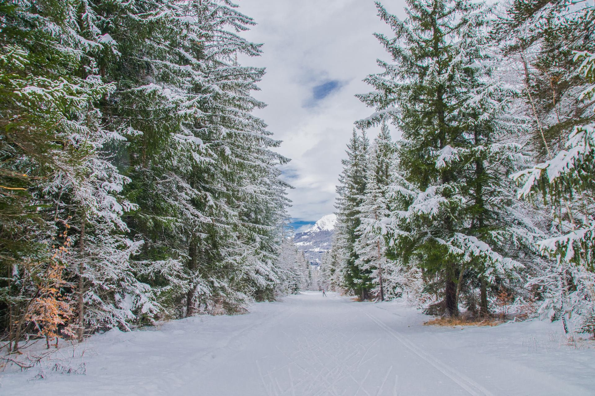 Ski de fond orcieres